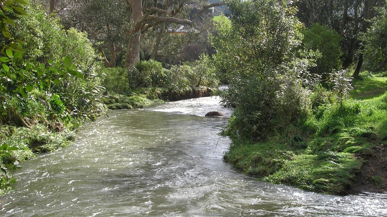 Photo of Others in Tawa