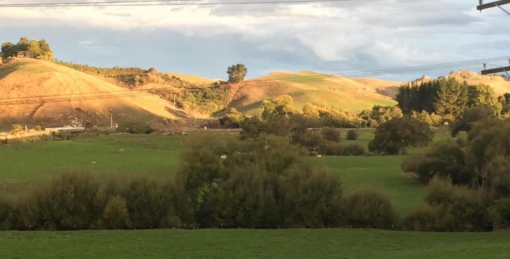 Photo of Others in Hangatiki
