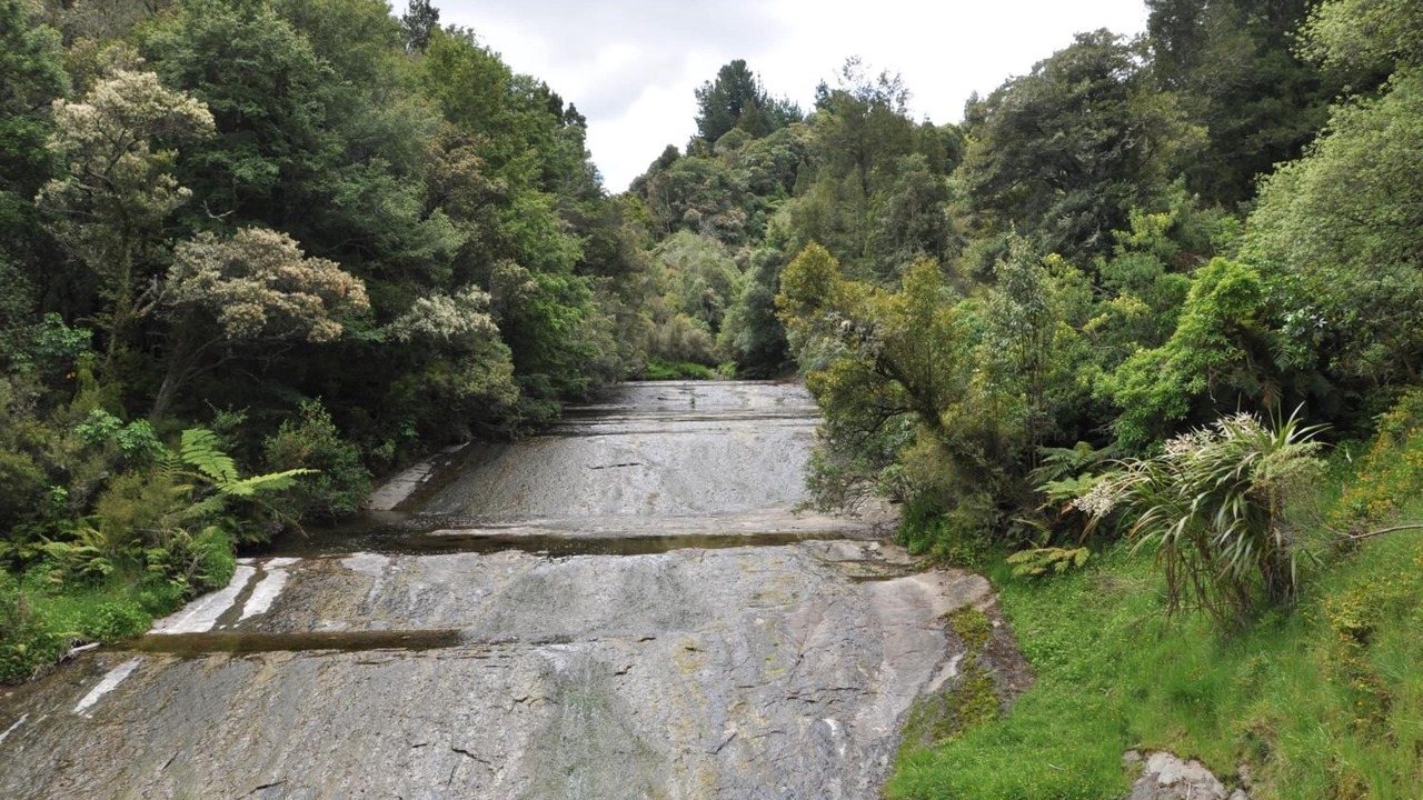 Photo of Others in Te Karaka