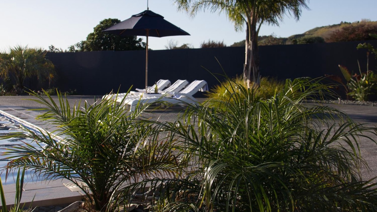 Photo of Outdoor in Gisborne