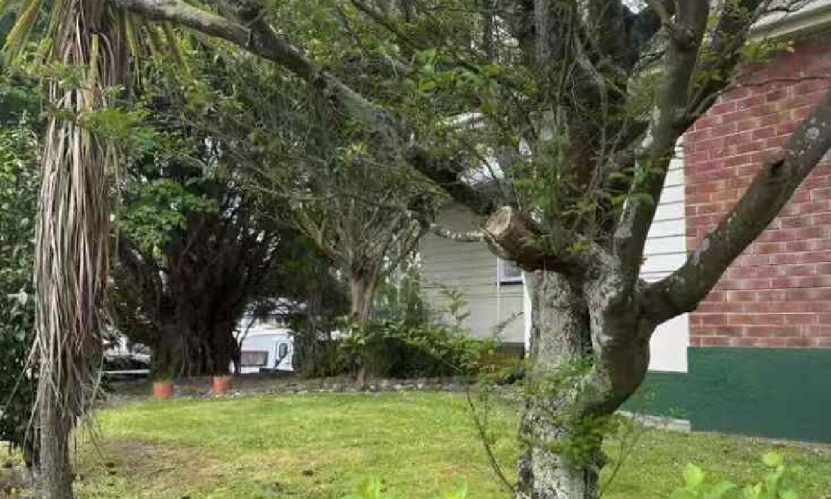 Photo of Outdoor in Palmerston North
