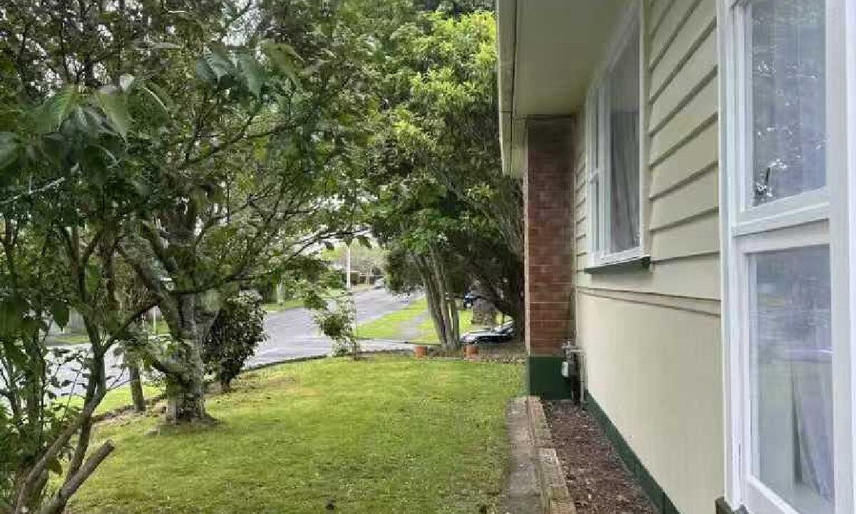 Photo of Outdoor in Palmerston North