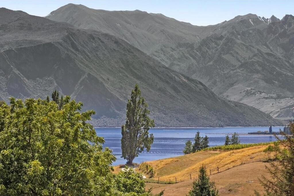 Photo of Others in Wanaka