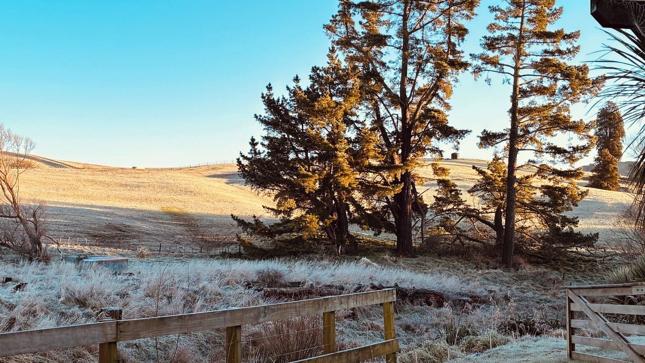 Photo of Outdoor in Puketitiri