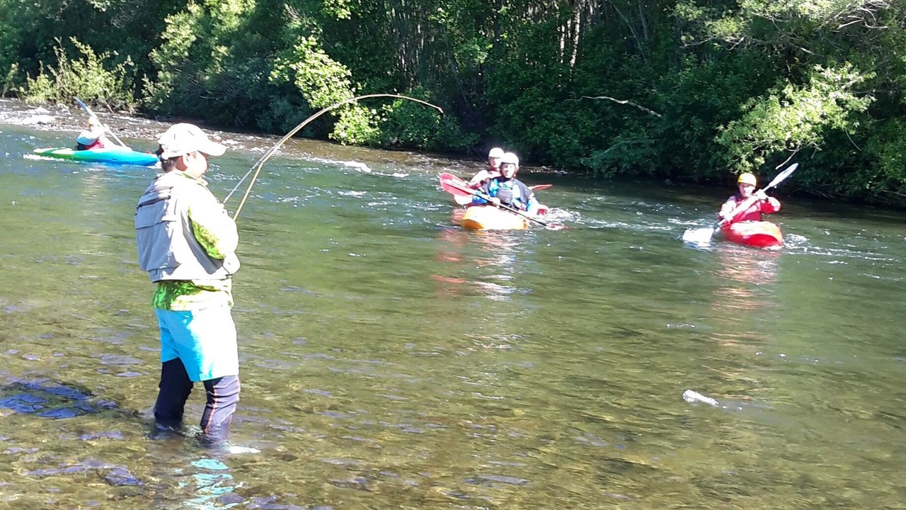 Photo of Others in Puketitiri