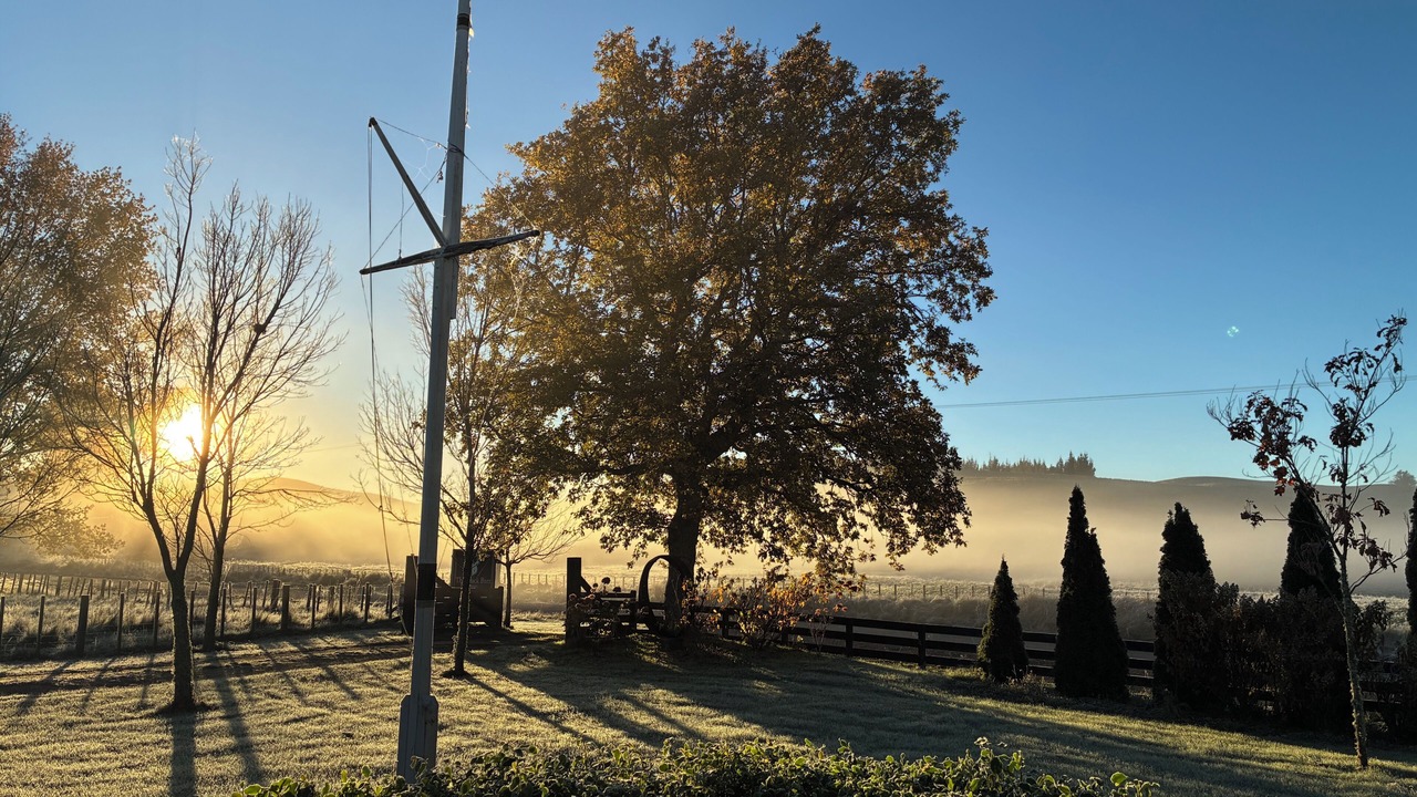 Photo of Outdoor in Puketitiri