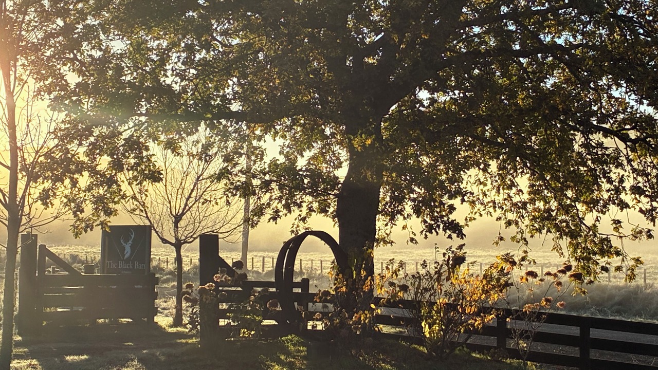 Photo of Outdoor in Puketitiri