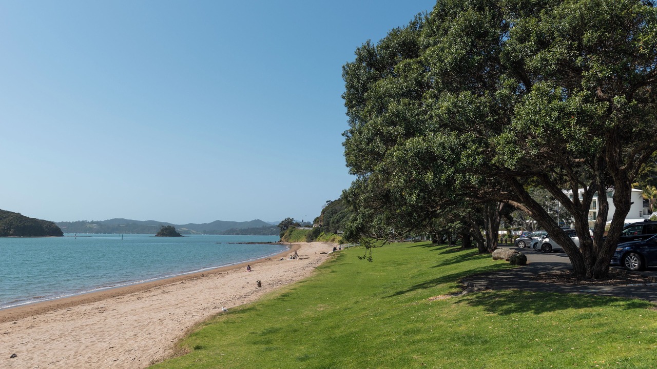 Photo of Others in Paihia