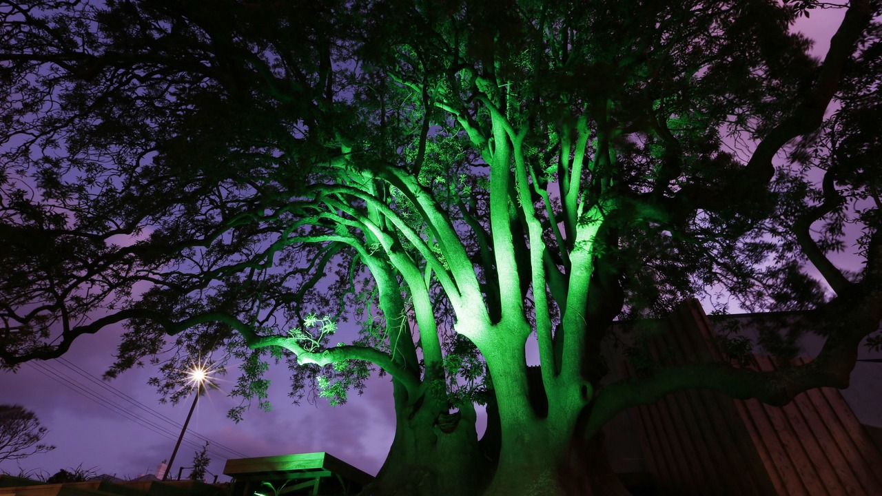 Photo of Outdoor in New Plymouth
