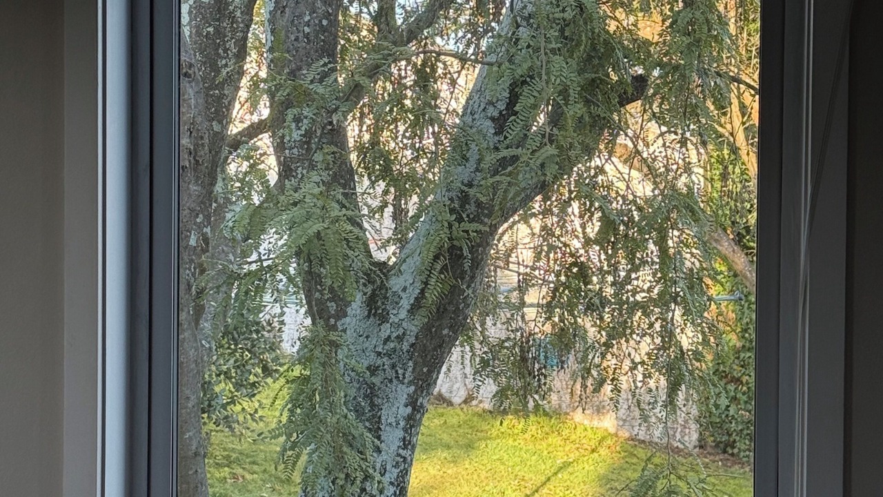 Photo of Outdoor in Taupo