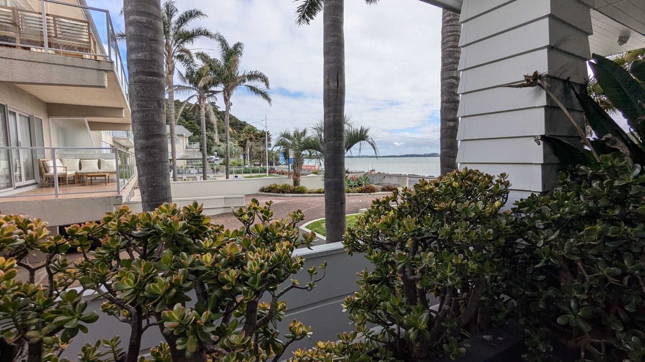 Photo of Others in Paihia