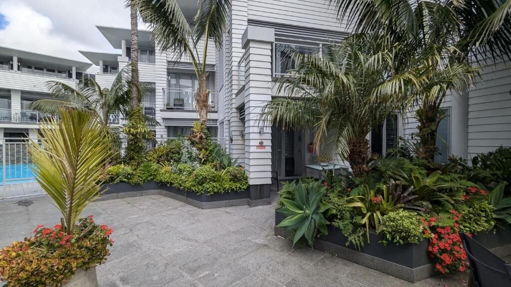 Photo of Outdoor in Paihia