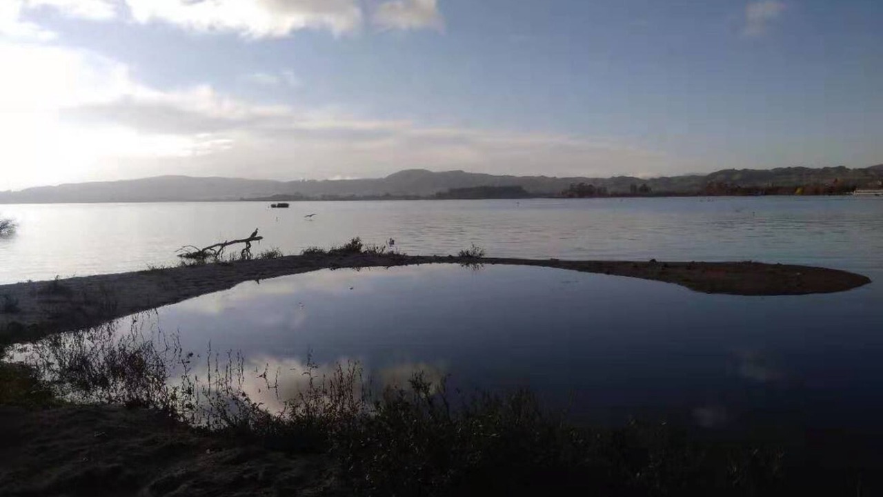 Photo of Others in Rotorua