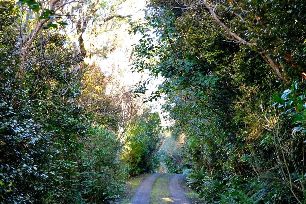 Photo of Outdoor in Waitati