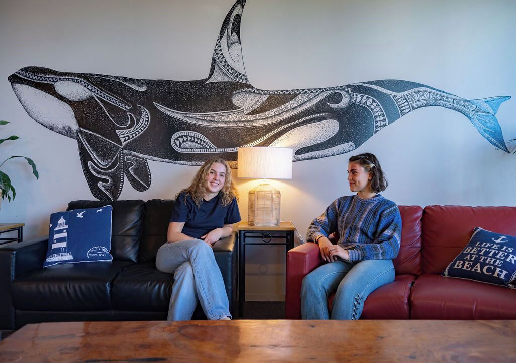 Photo of Others in Kaikoura