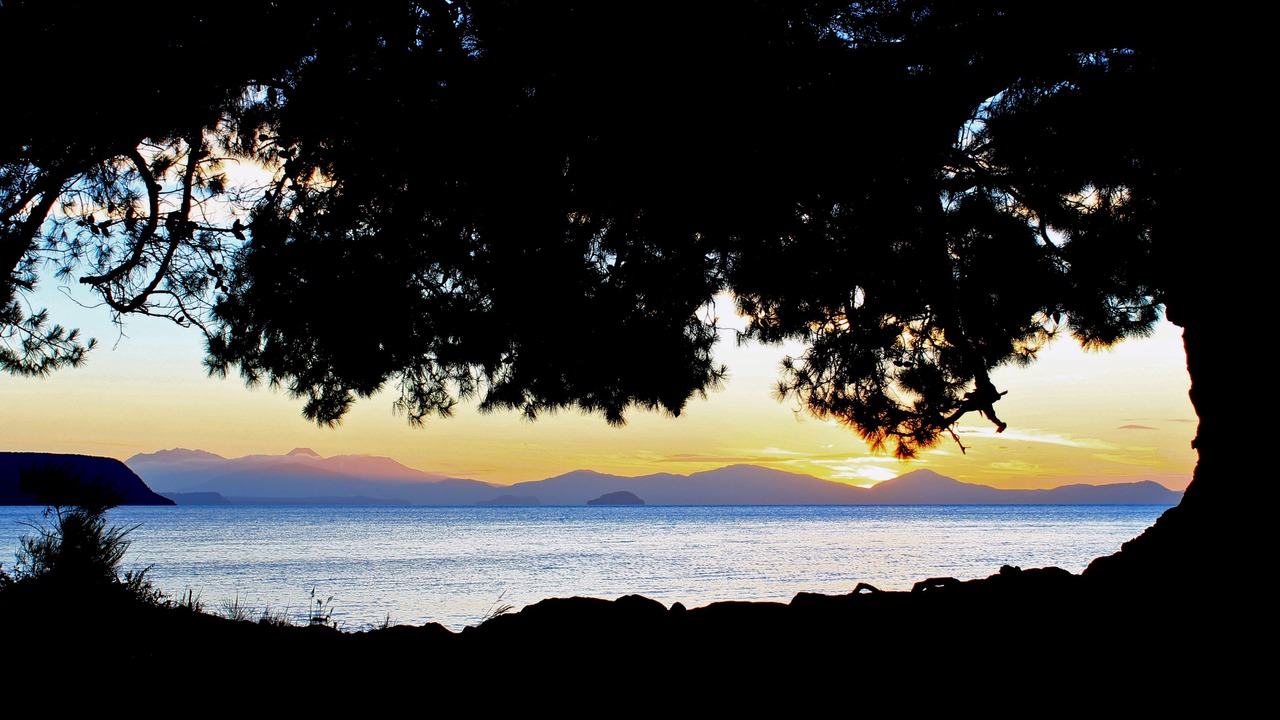 Photo of Others in Taupo