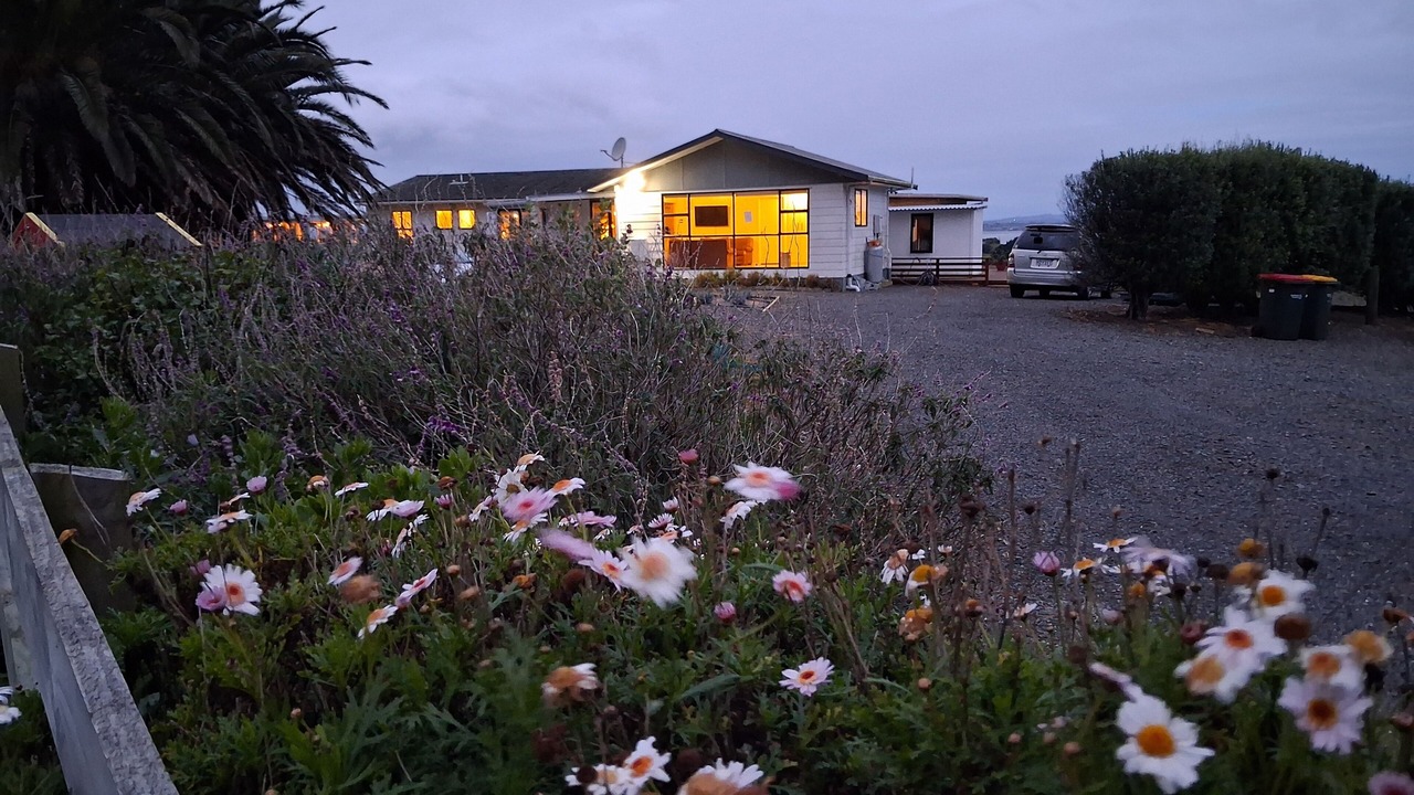 Photo of Outdoor in Awhitu