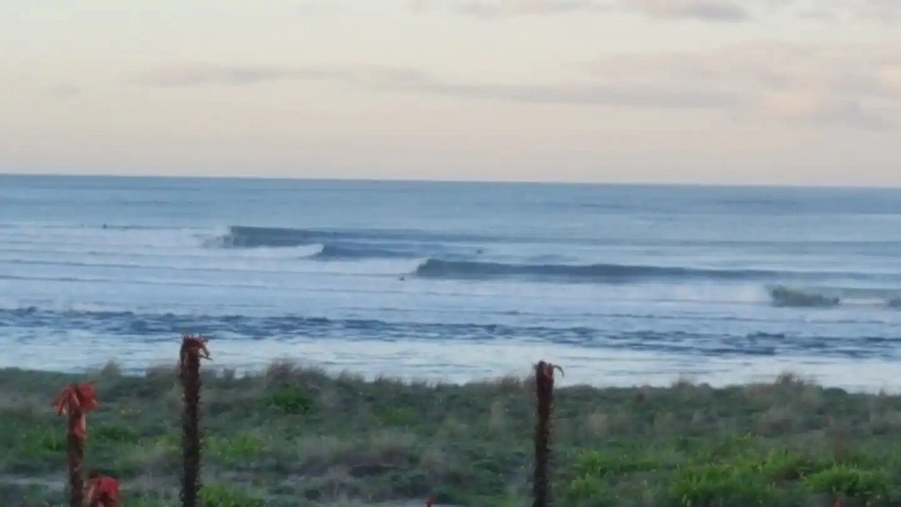 Photo of Others in Whangamata
