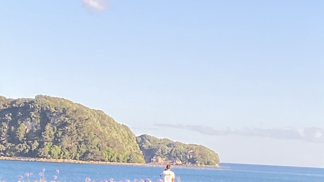 Photo of Others in Whangamata