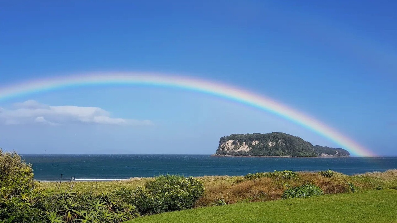 Photo of Outdoor in Whangamata