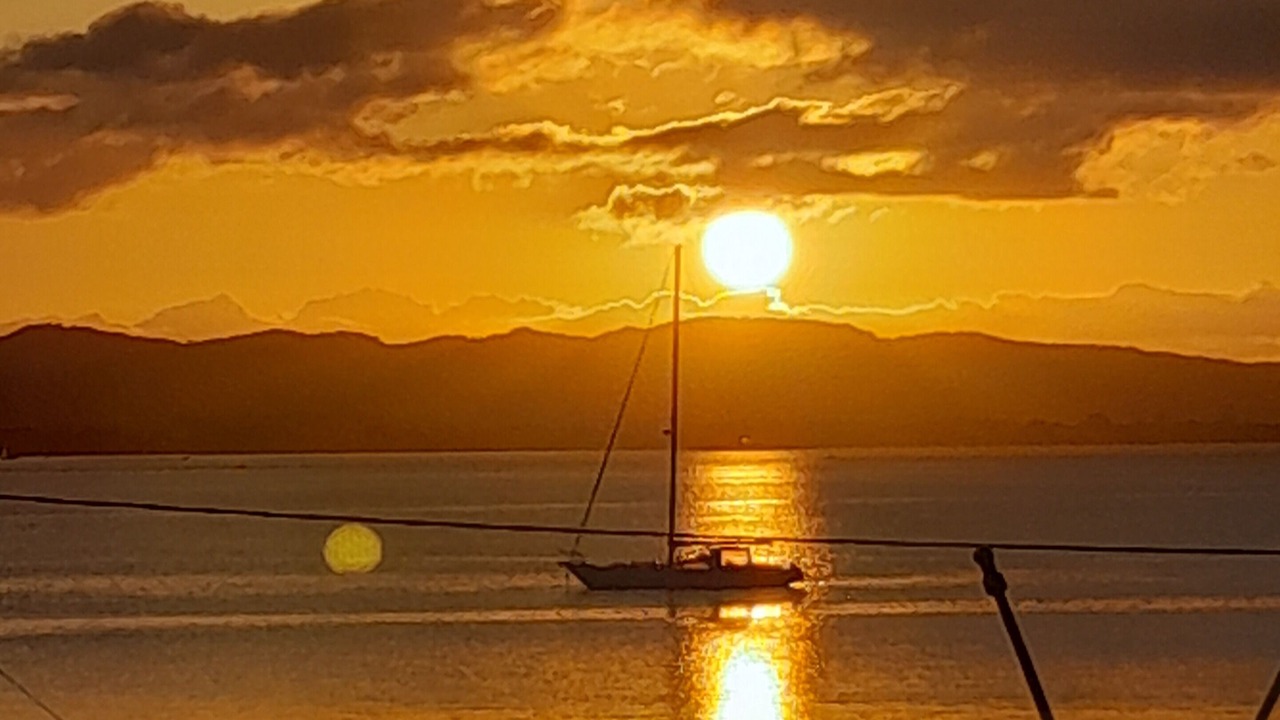 Photo of Others in Whangarei Heads