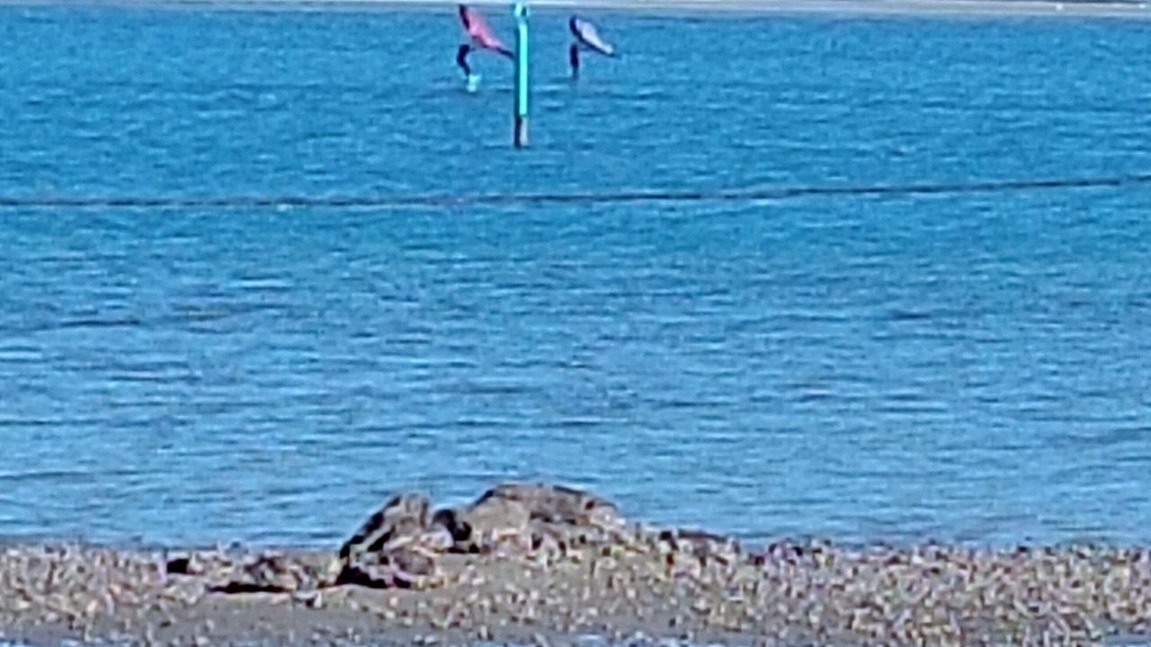 Photo of Others in Whangarei Heads