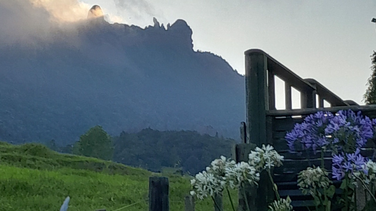 Photo of Outdoor in Whangarei Heads