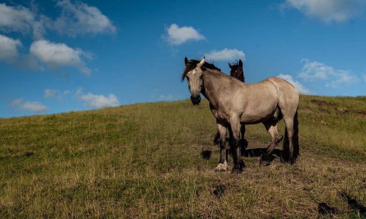 Photo of Outdoor in Te Akau