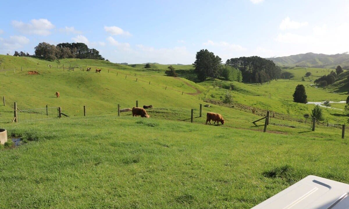 Photo of Outdoor in Te Akau