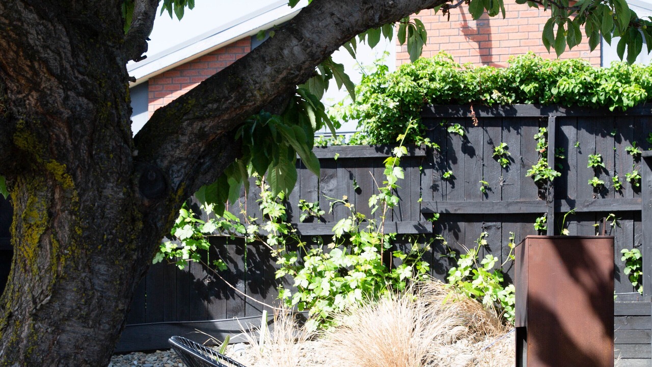 Photo of Outdoor in Wanaka