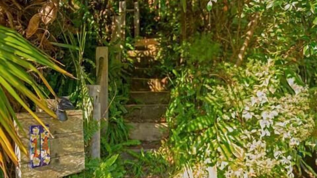 Photo of Outdoor in Tairua