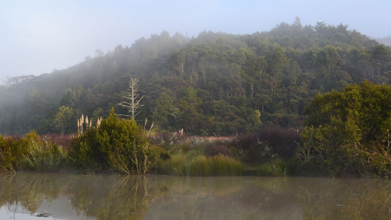 Photo of Others in Kaukapakapa