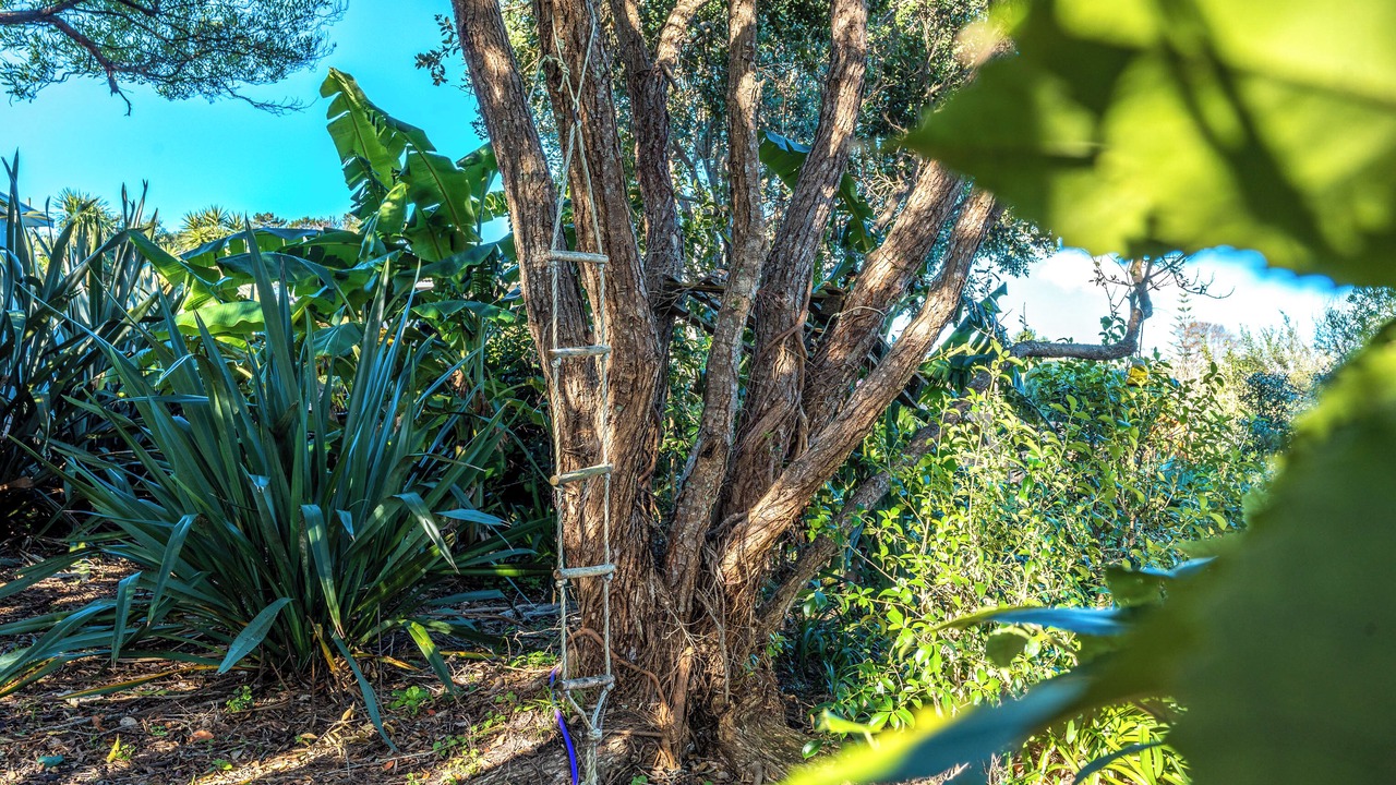 Photo of Outdoor in Surfdale