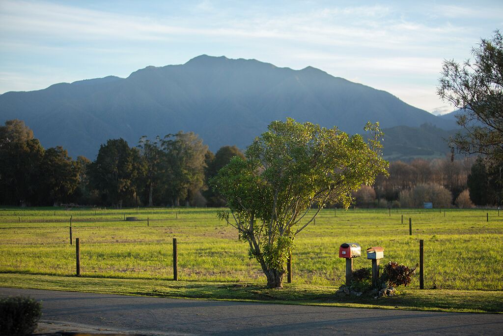 Photo of Others in Takaka
