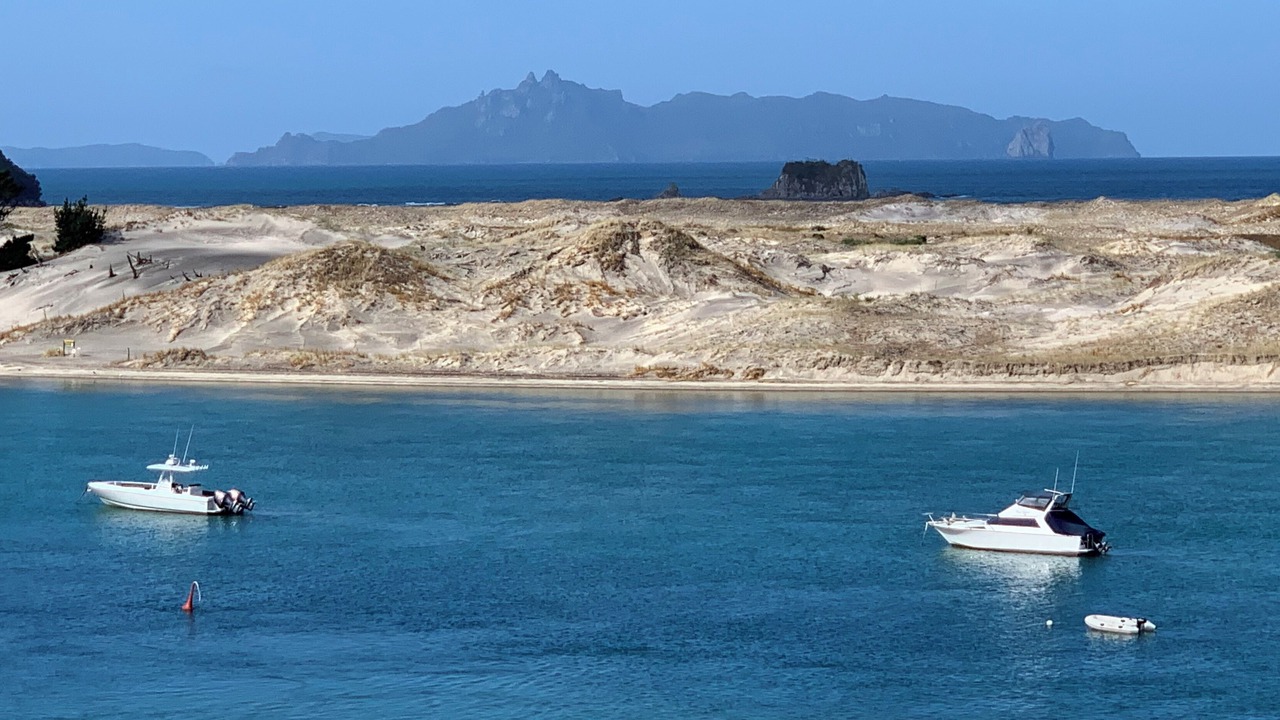 Photo of Others in Mangawhai Heads