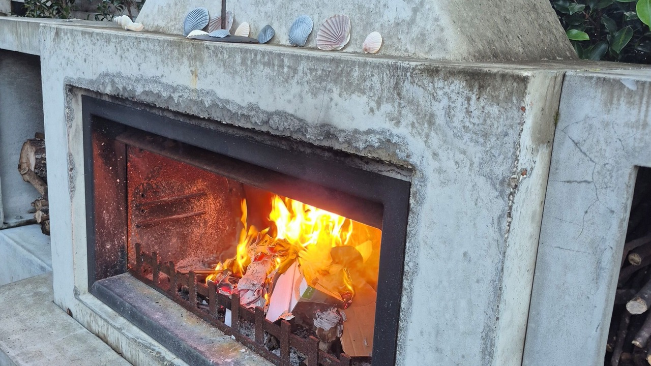 Photo of Outdoor in Mangawhai Heads