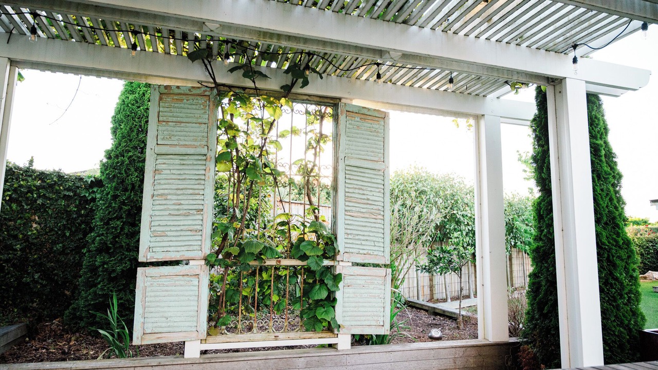 Photo of Patio Balcony in Martinborough