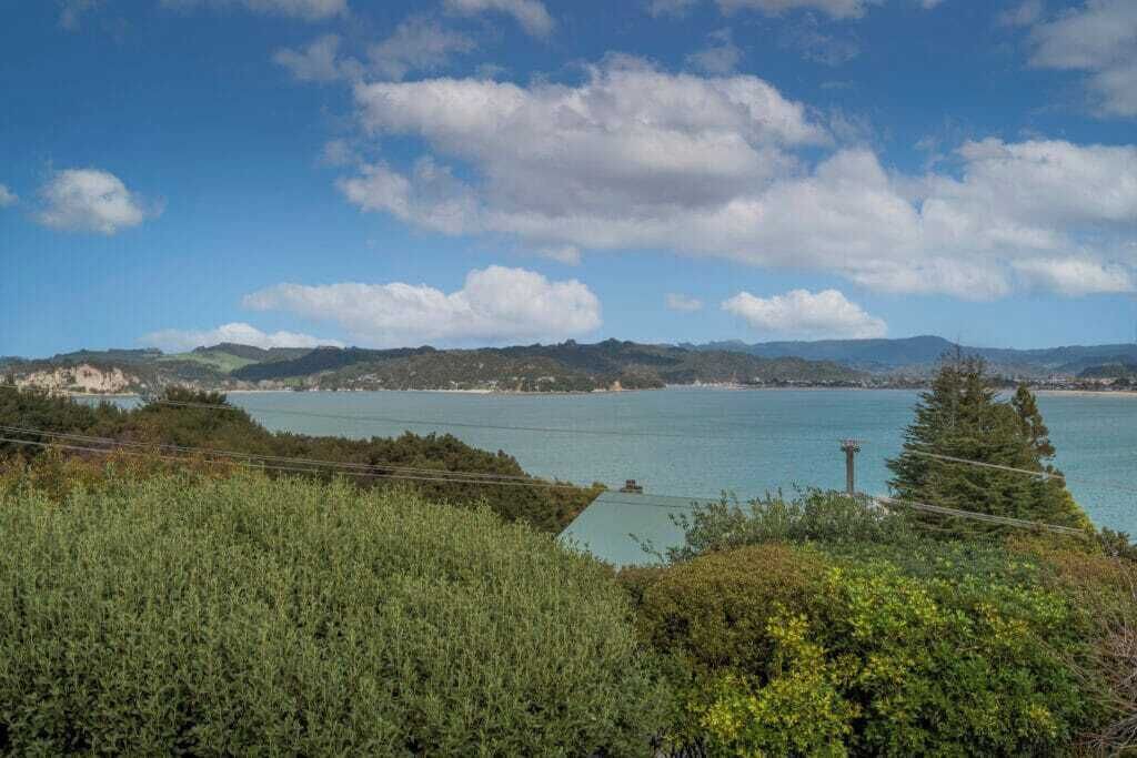 Photo of Others in Whitianga