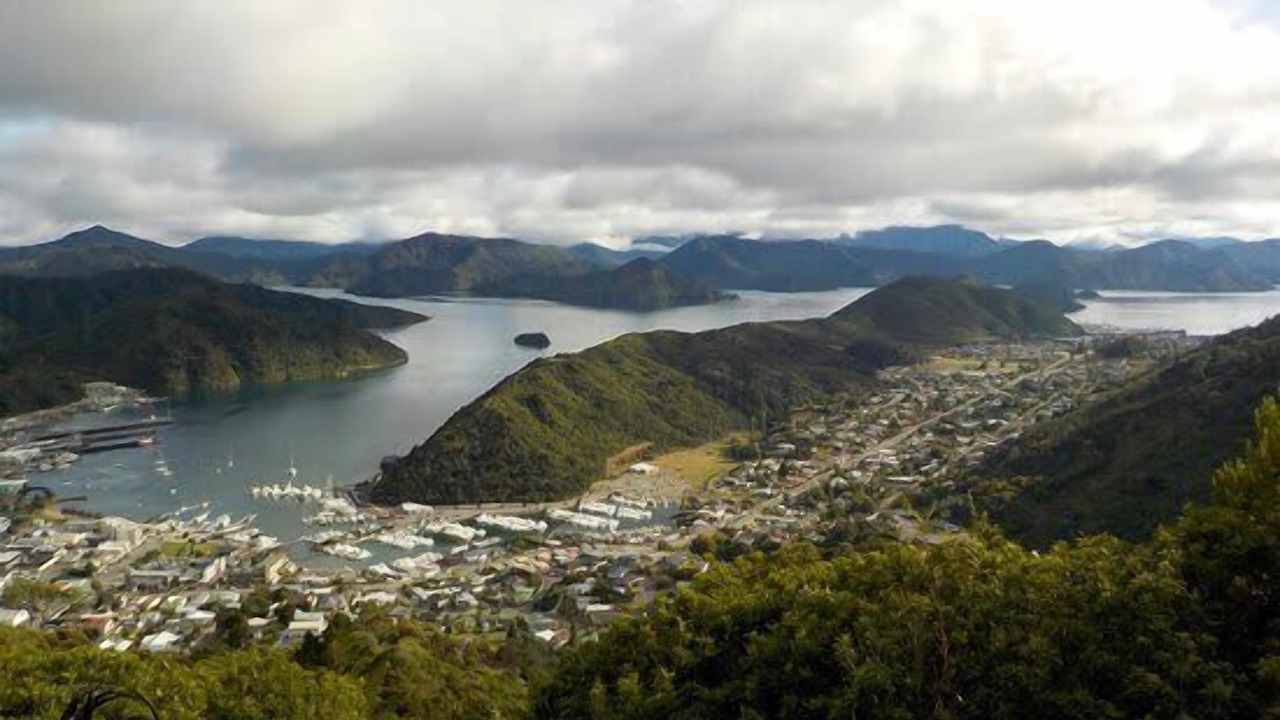 Photo of Others in Picton