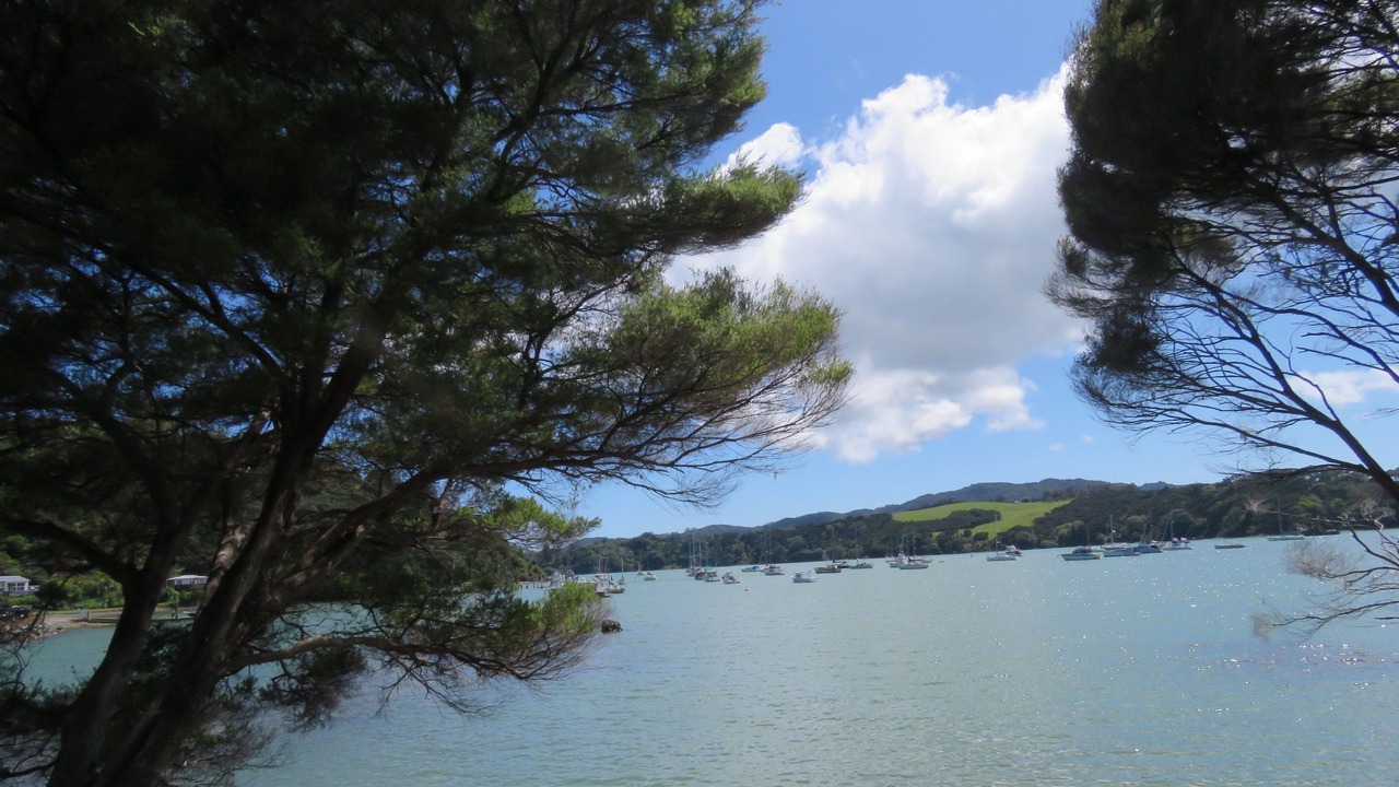 Photo of Bathroom in Mangonui
