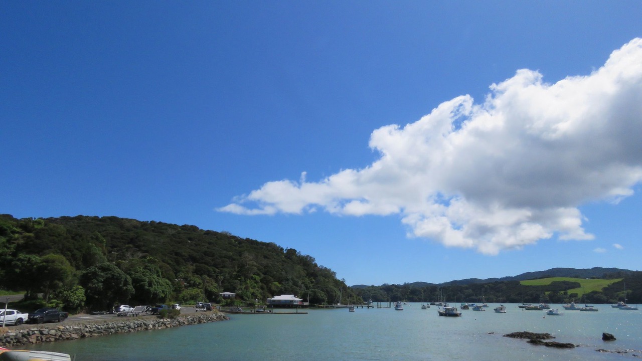 Photo of Others in Mangonui