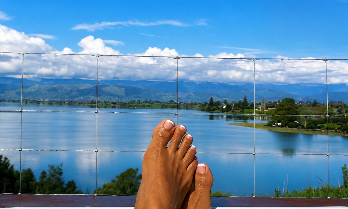 Photo of Outdoor in Mapua