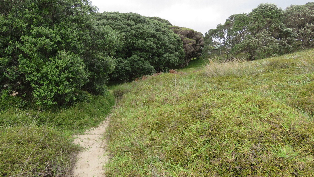 Photo of Outdoor in Pakiri