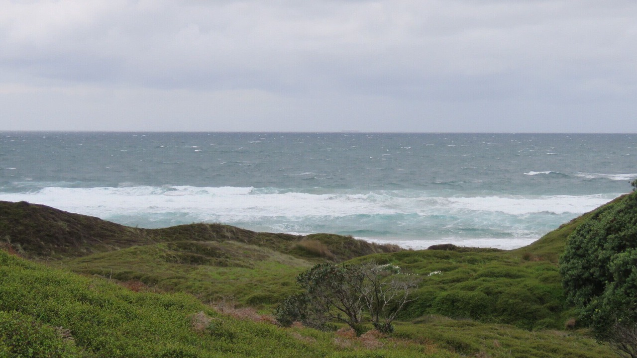 Photo of Others in Pakiri