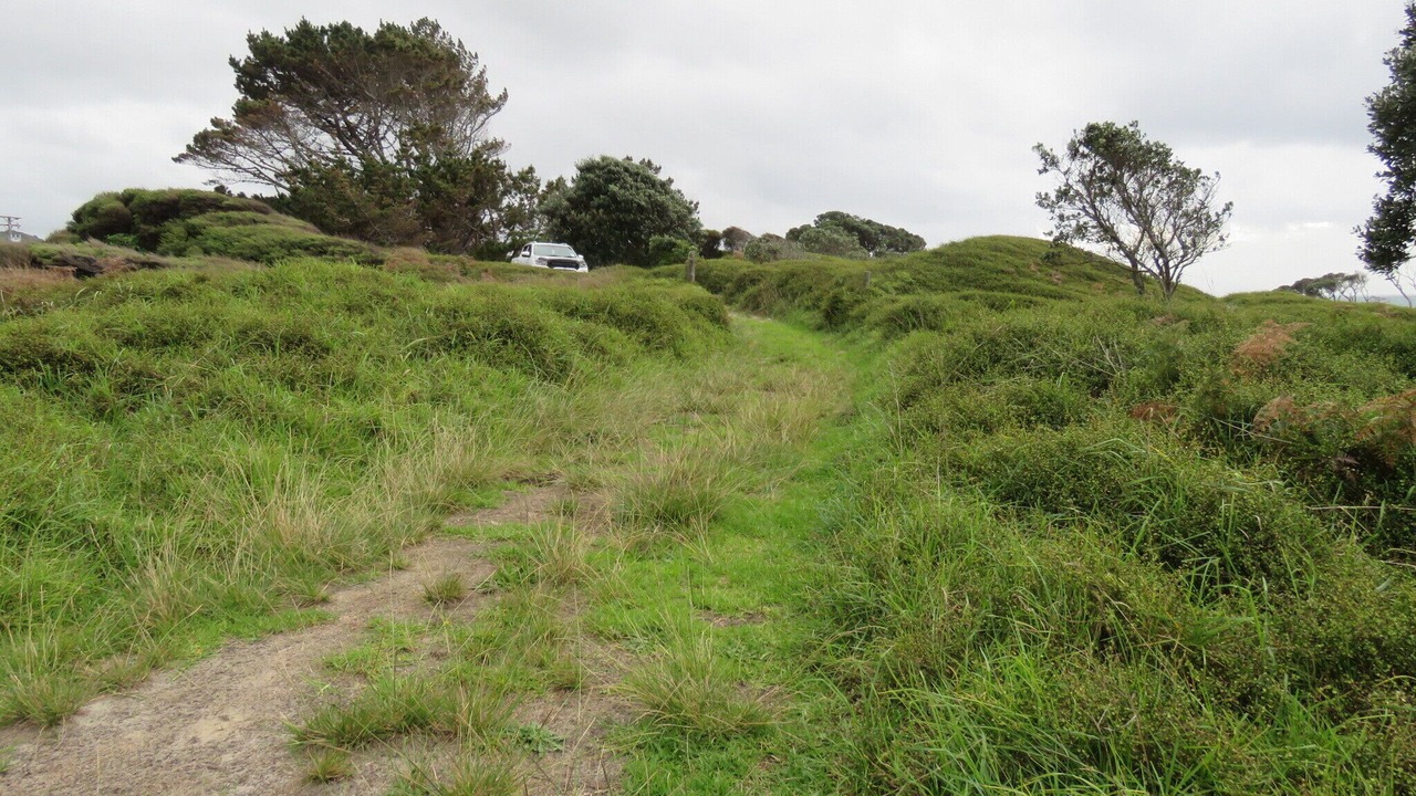 Photo of Outdoor in Pakiri