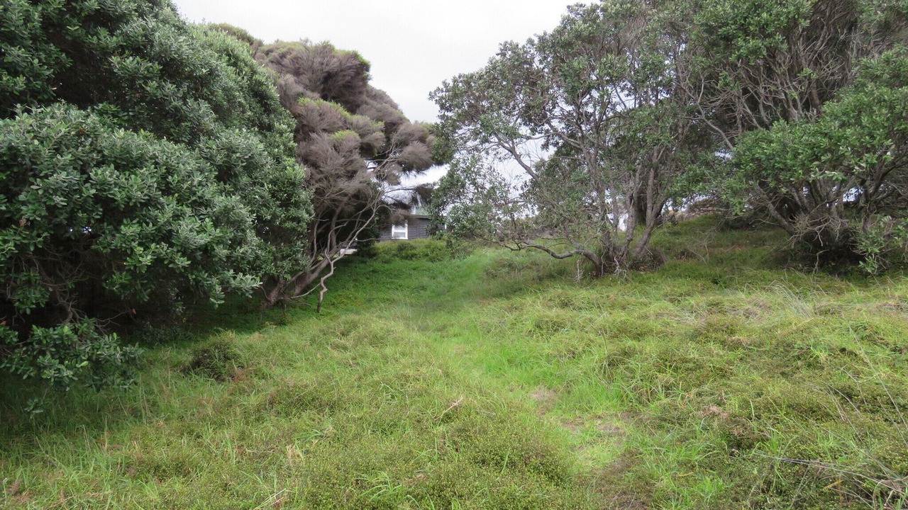 Photo of Outdoor in Pakiri