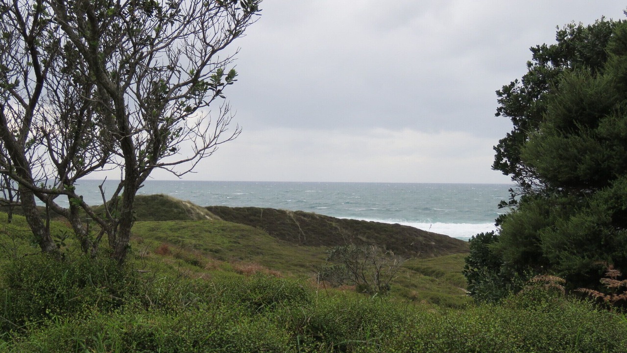 Photo of Others in Pakiri