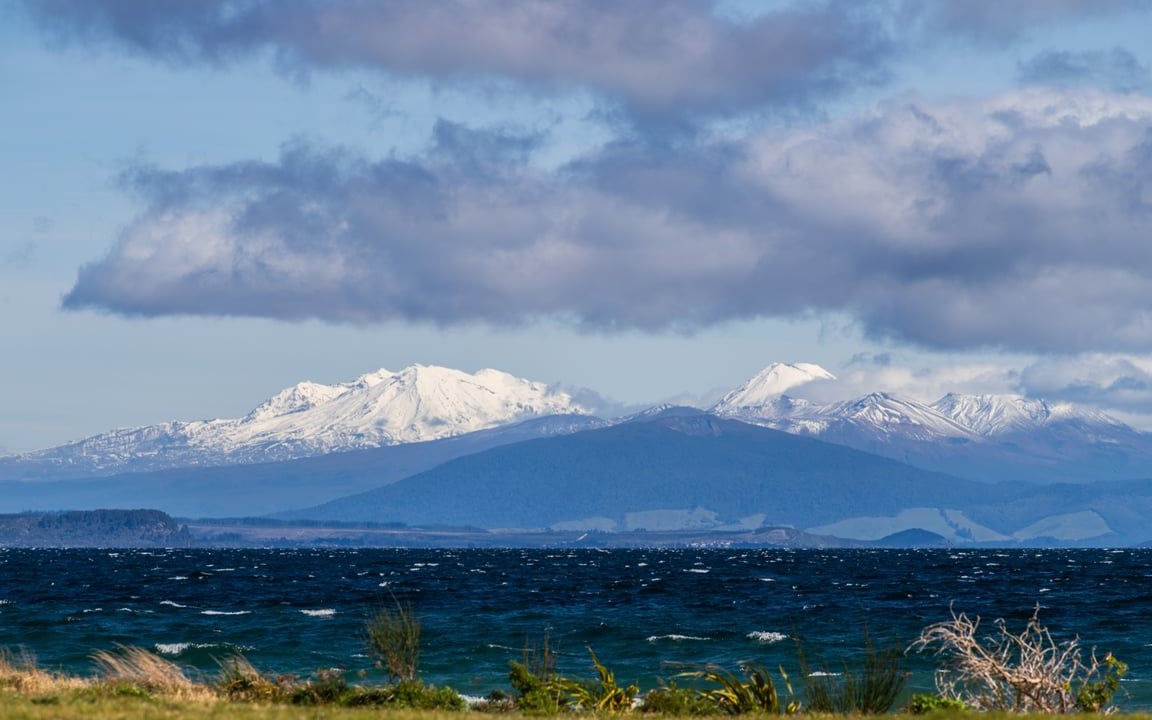 Photo of Others in Waitahanui