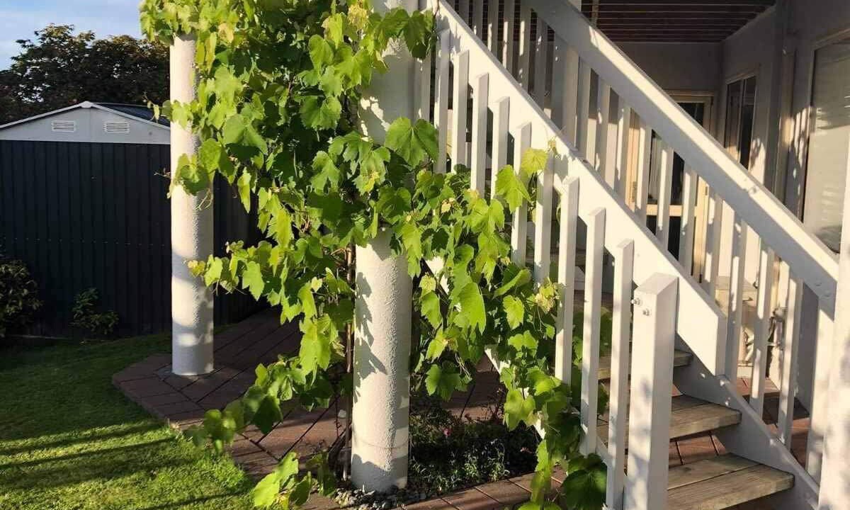 Photo of Outdoor in Richmond Heights