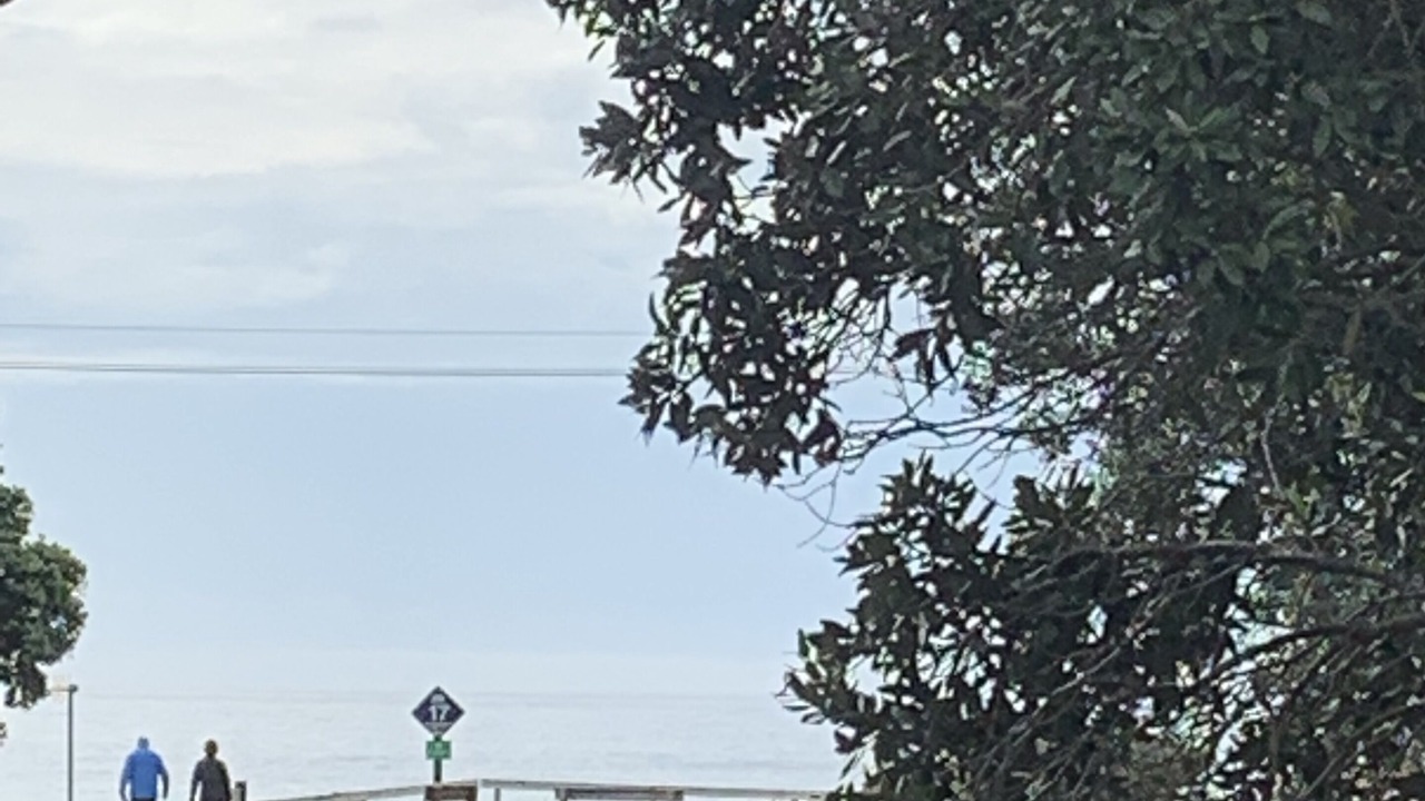Photo of Others in Whangamata